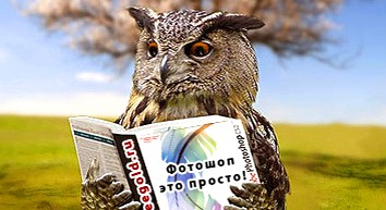 Професійність 